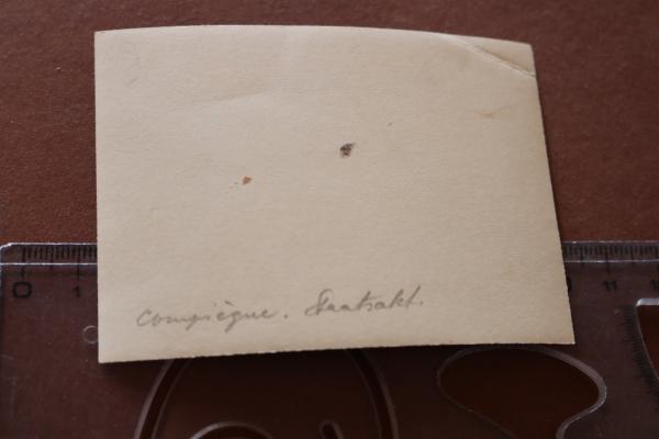 old photo - Adolf Hitler with his entourage in his Mercedes W31 in Compiègne France